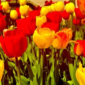 Meet your Posher, Kay